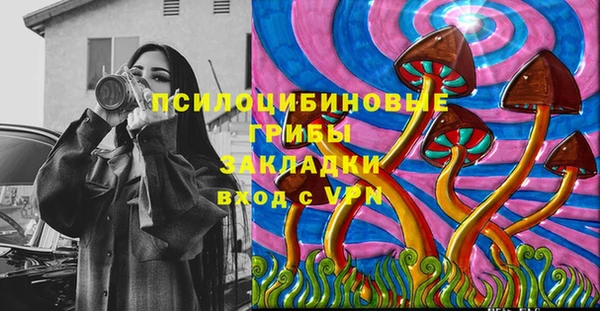 МДПВ Алексеевка