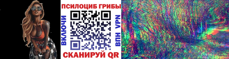Галлюциногенные грибы MAGIC MUSHROOMS Сольвычегодск
